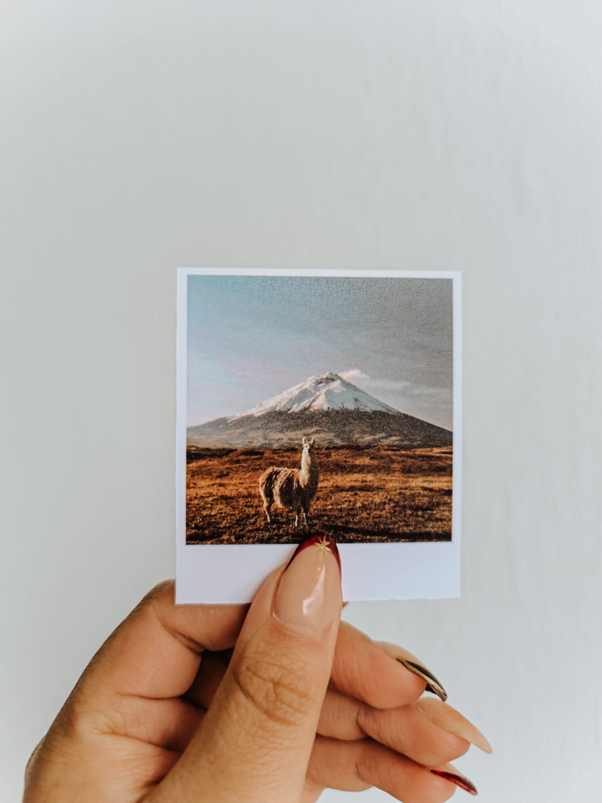 Polaroid Mini  (6cm x 7cm)